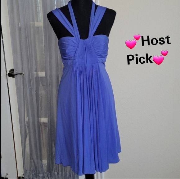 BCBGMaxAzria Dresses & Skirts - 💕HP💕BCBG Max Azria Blue/Perwinkle Jersey Pleated MiniDress💕